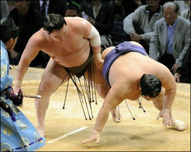 20111026-sumo-info  hakuho spf0911261802007-p6.jpg